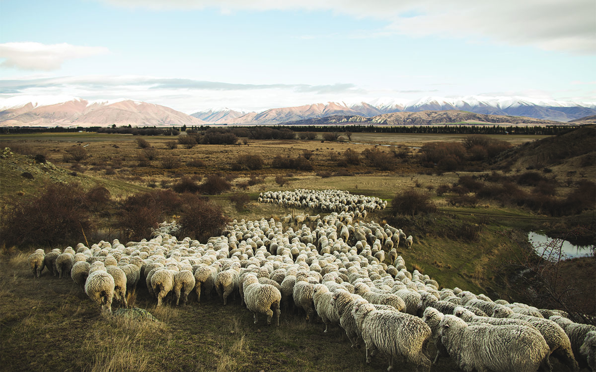 Haston climbing above Camp 6 towards