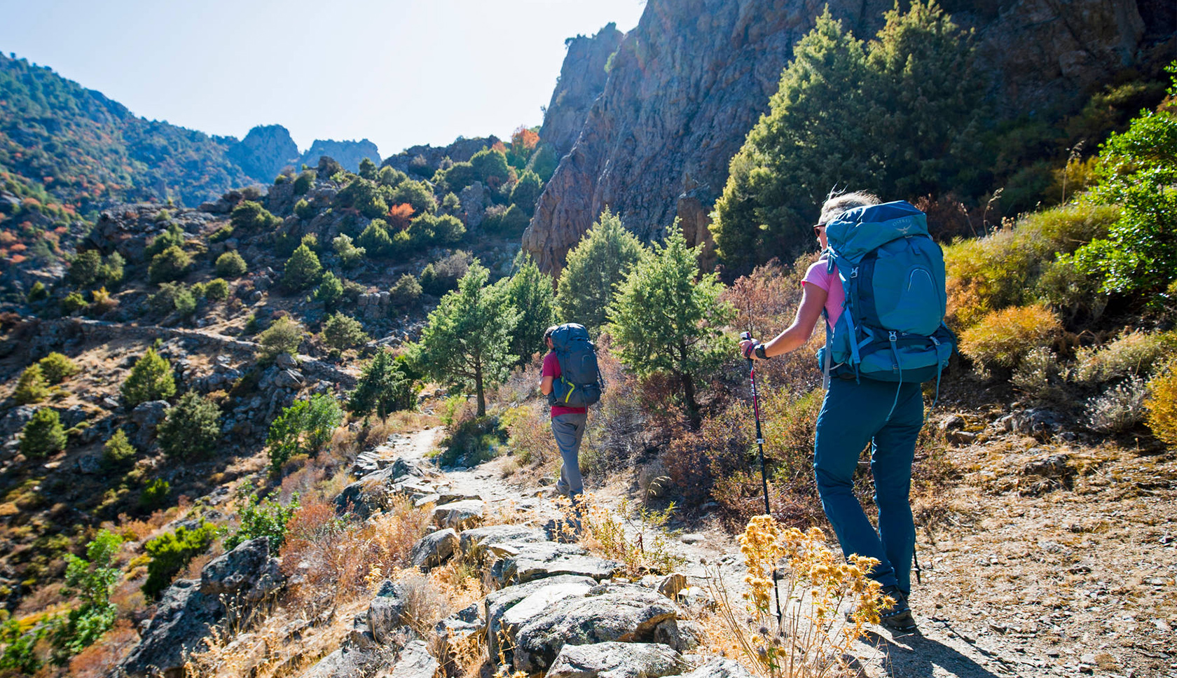 Hamish Frost climbing 