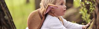 Littlelife Carousel 2