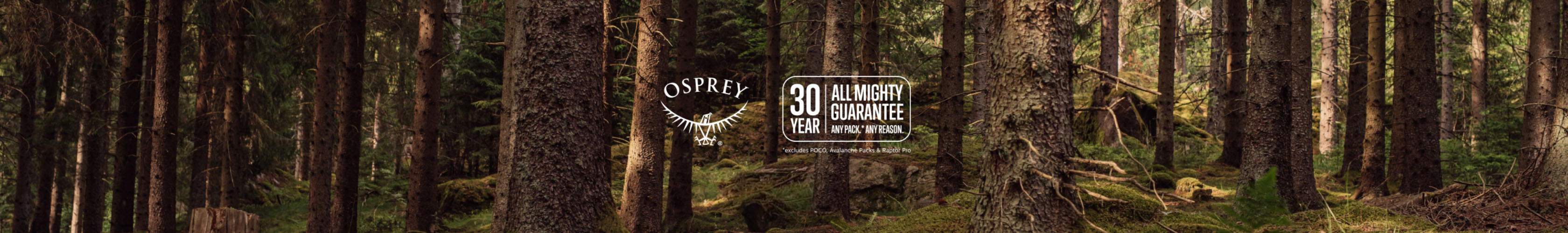 Shop Osprey collection