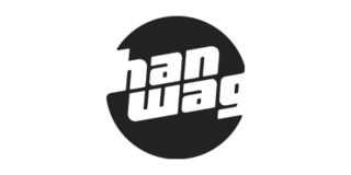 Salomon brand logo