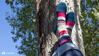 Feet With Stripey Socks Resting On A tree