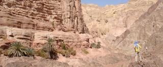 Egypt's sinai desert