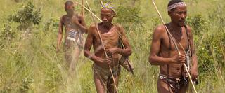 Three namibian San people walking through the veld