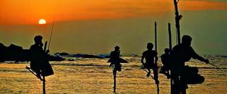 Group of fisherman sitting on wooden poles on the water at sunset