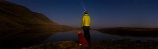 A person with a dog outdoors in the evening