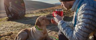 Dog and man resting in the sun outdoors