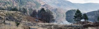 Galloway Forest Park