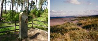 Sand Dunes and a Grave Stone
