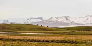 Snow Capped Mountains with open land