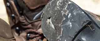 Worn Heal