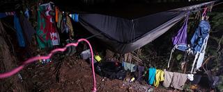 Hammock in the Jungle