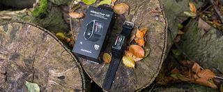 Watch and accompanying box on a tree trunk with some autumnal leaves surrounding it