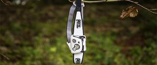 Headlamp hanging from a branch