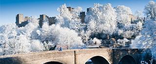 Castle and Bridge surrounding by snow covered trees