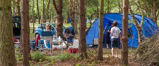 Family Camping in woods