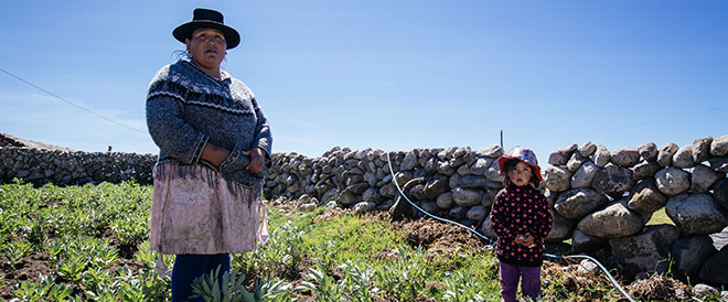 People native to Ayacucho, stood in a field in front of a stone wall 
