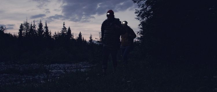 Night Walking Guide