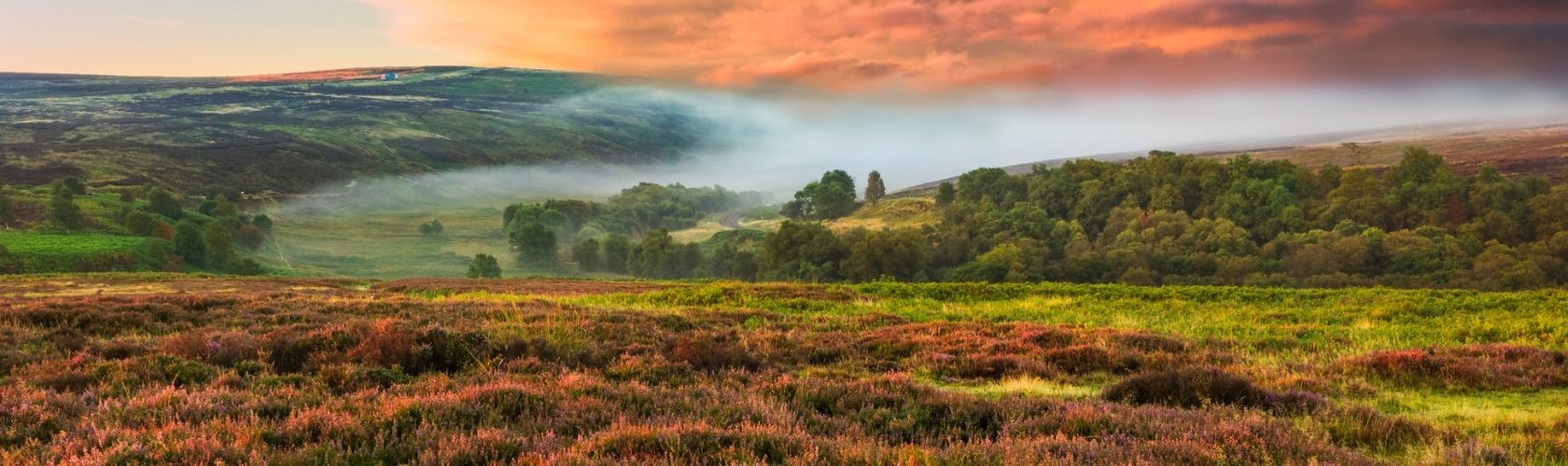 An image of the North Yorkshire moorlands 