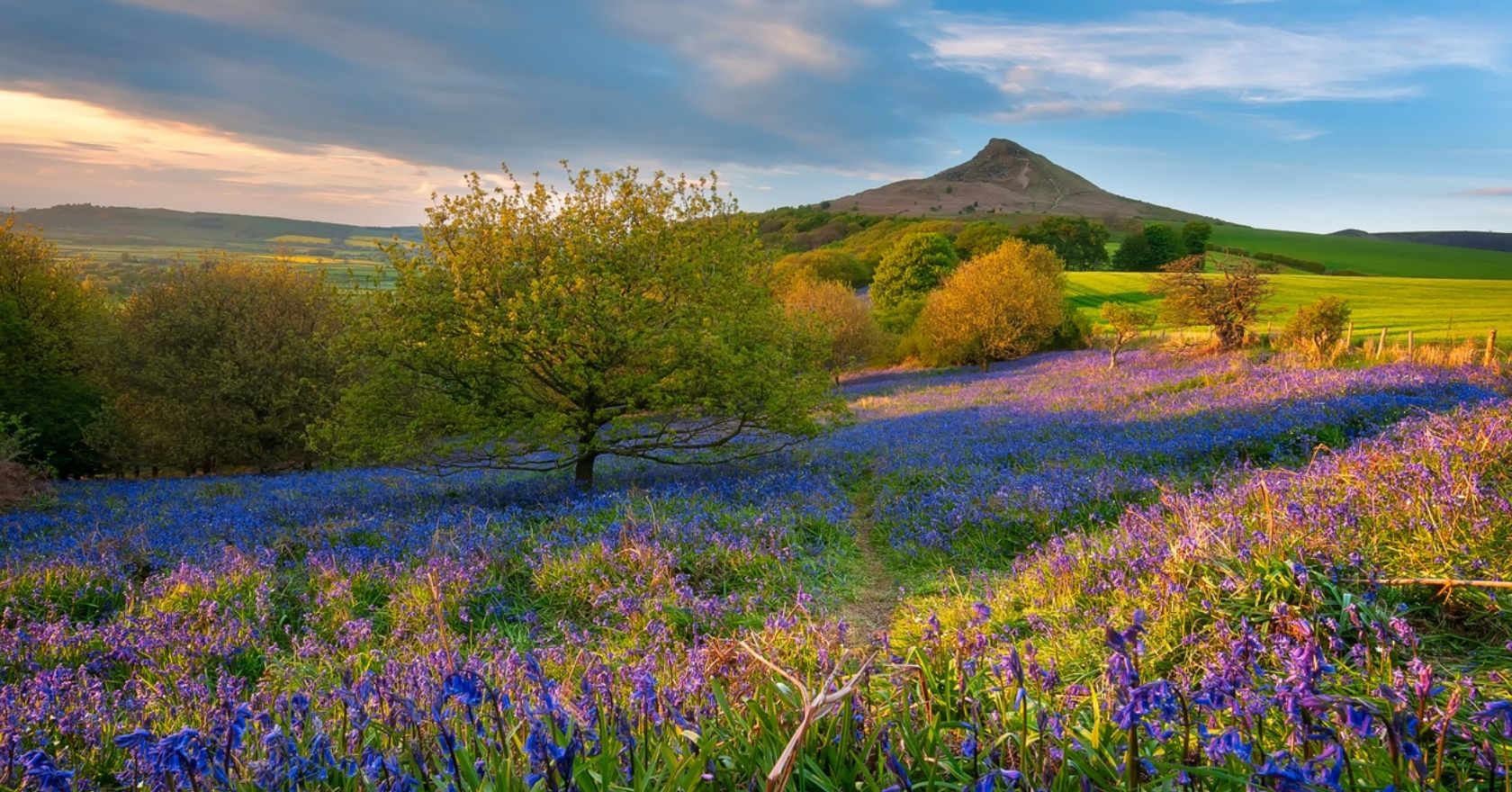 Our Favourite UK Spring Walks