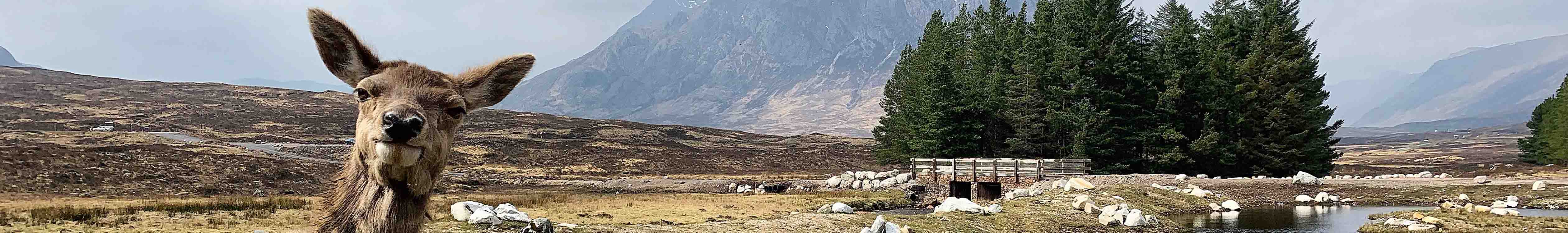 Wild camping in Knoydart Peninsula with the locals