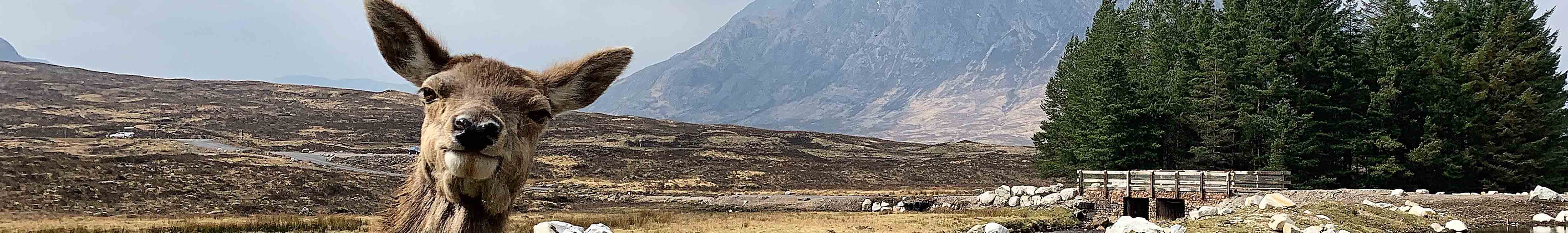 10 Beautiful Wild Camping Spots in Scotland for Adventurers