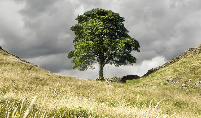 Wow Factor Walks With The National Trust Cotswold Outdoor