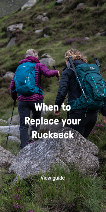Backpacking bag online