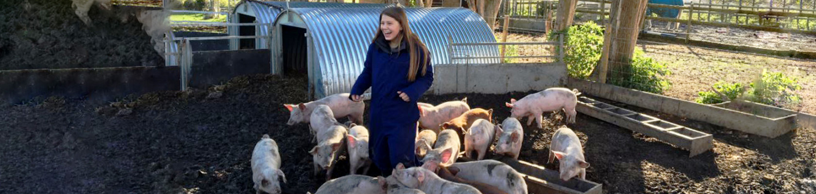 A girl is surrounded by little pigs, eating their food