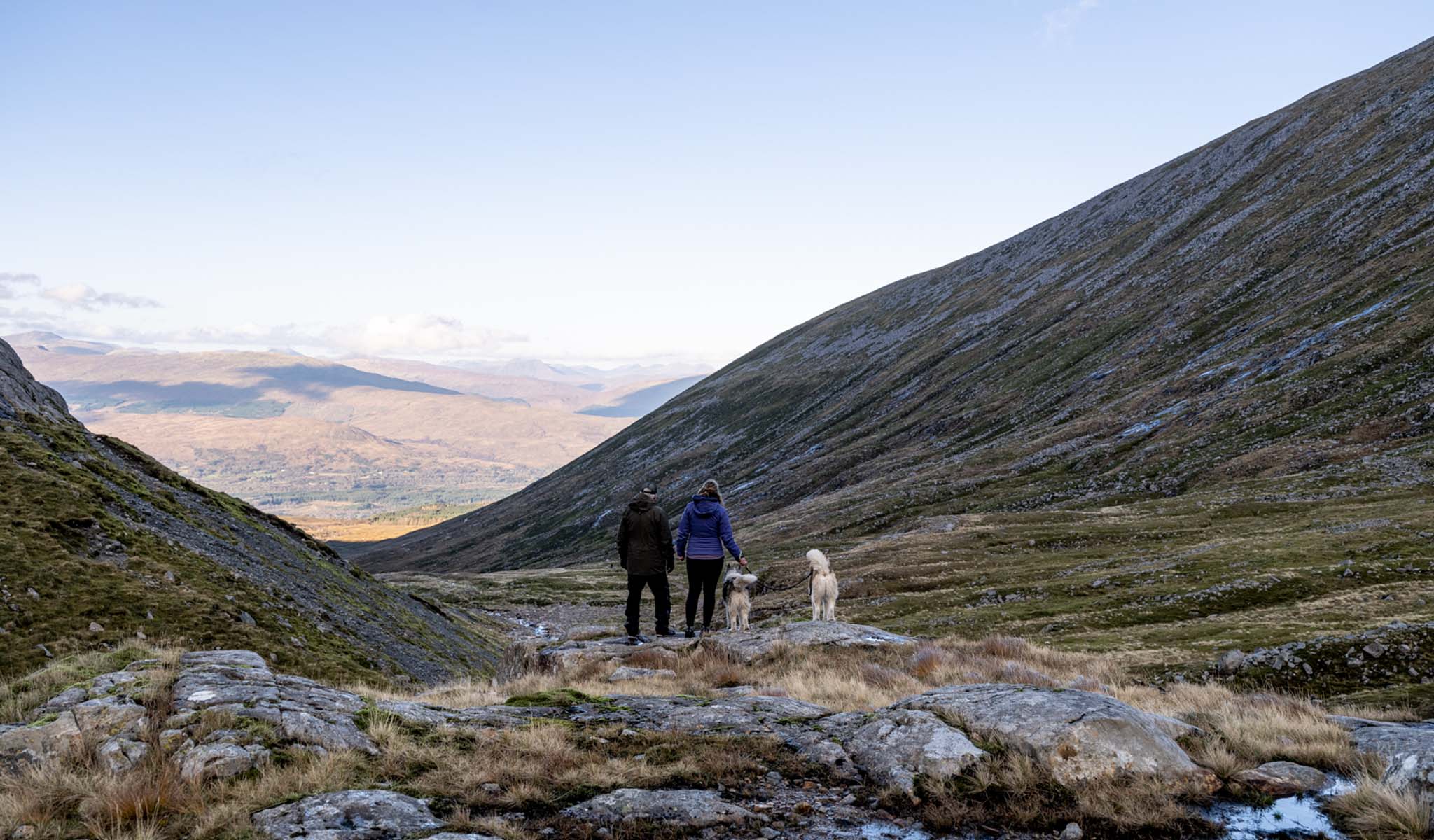 Two people are looking at mountains, wearing walking gear, with two dogs.