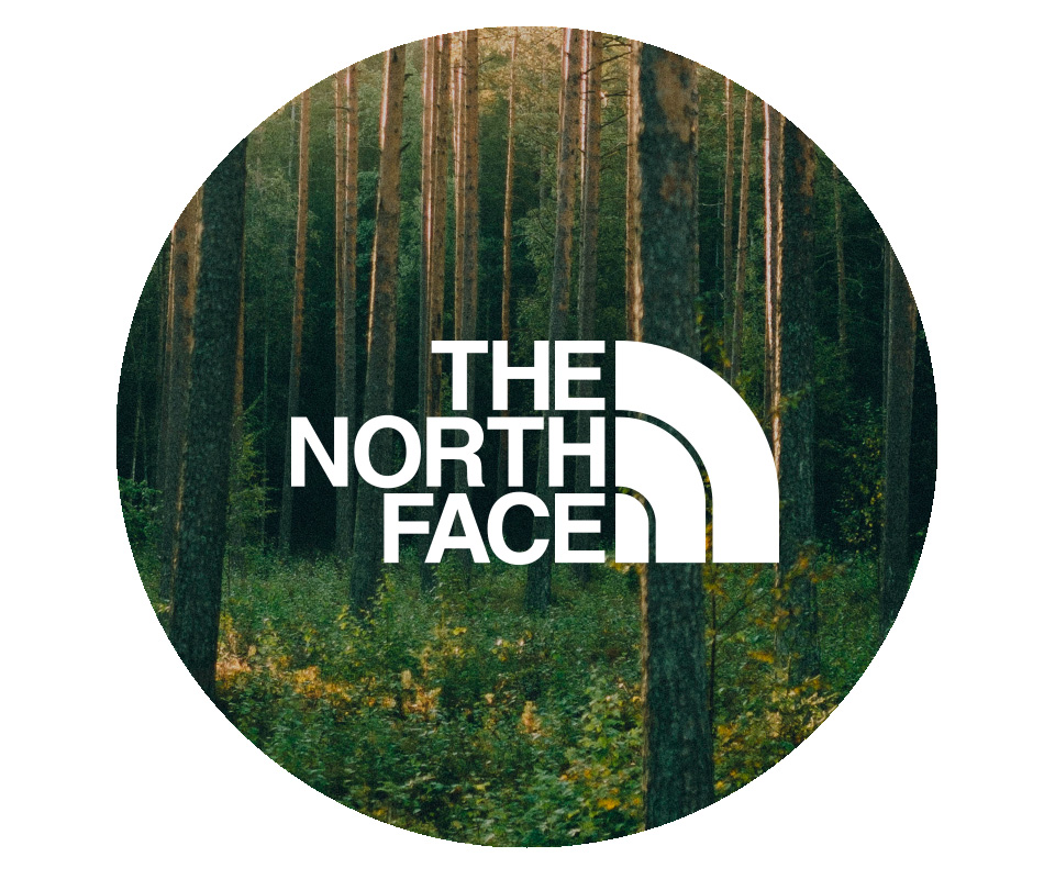 The North Face brand logo
