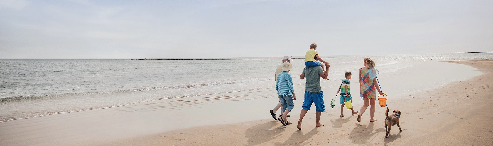 A family walking on a summer day on a beach