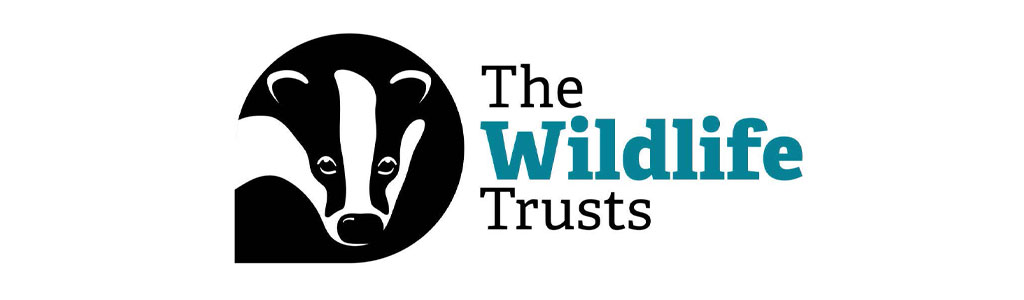 Explore logo