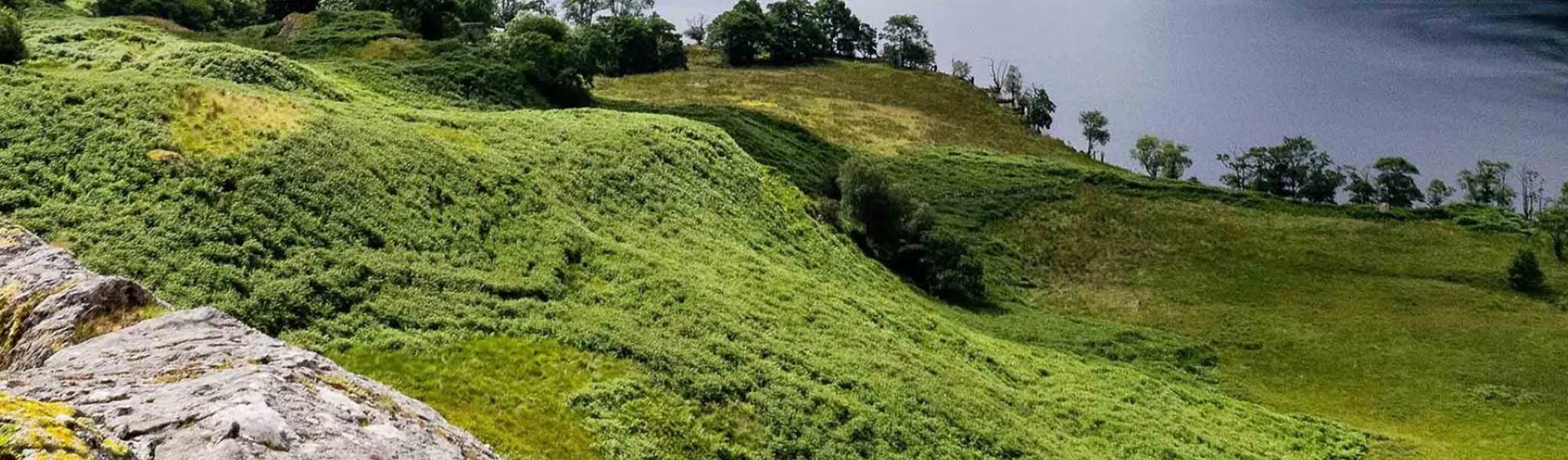 Green hills
