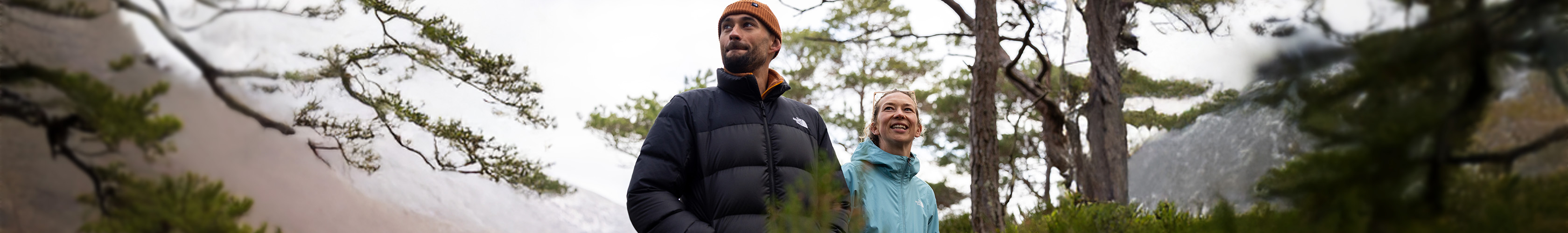 In partnership with the National Trust. A woodland scene