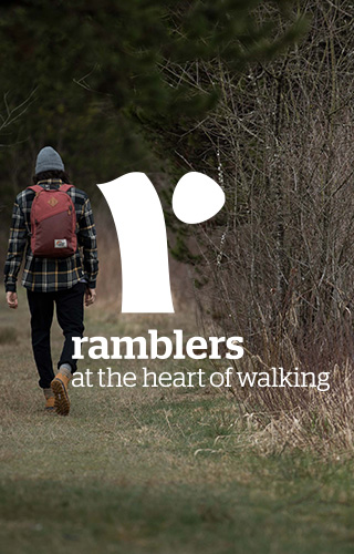 The Ramblers - person walking in Autumn forest