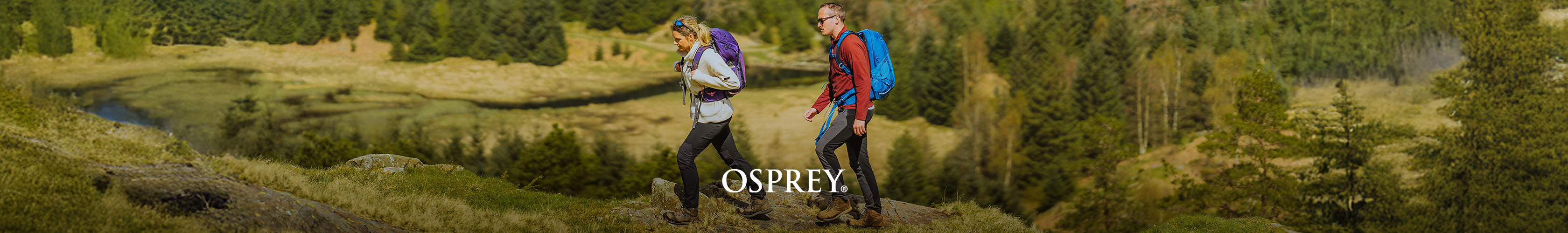 osprey