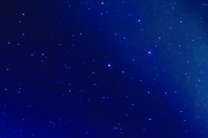 Shop fleeces black friday