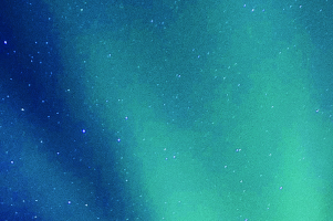 Shop trousers black friday