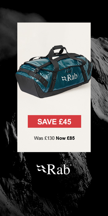 Christmas tree in living room