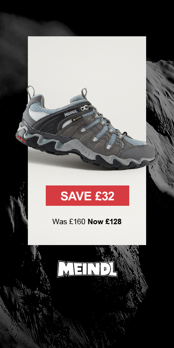 Christmas tree in living room