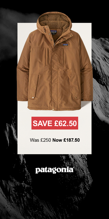 Christmas tree in living room