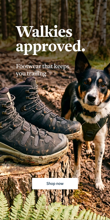 Shop Boots & Shoes