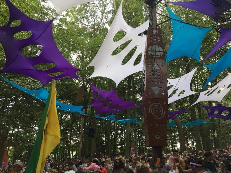 One of the Boomtown forests