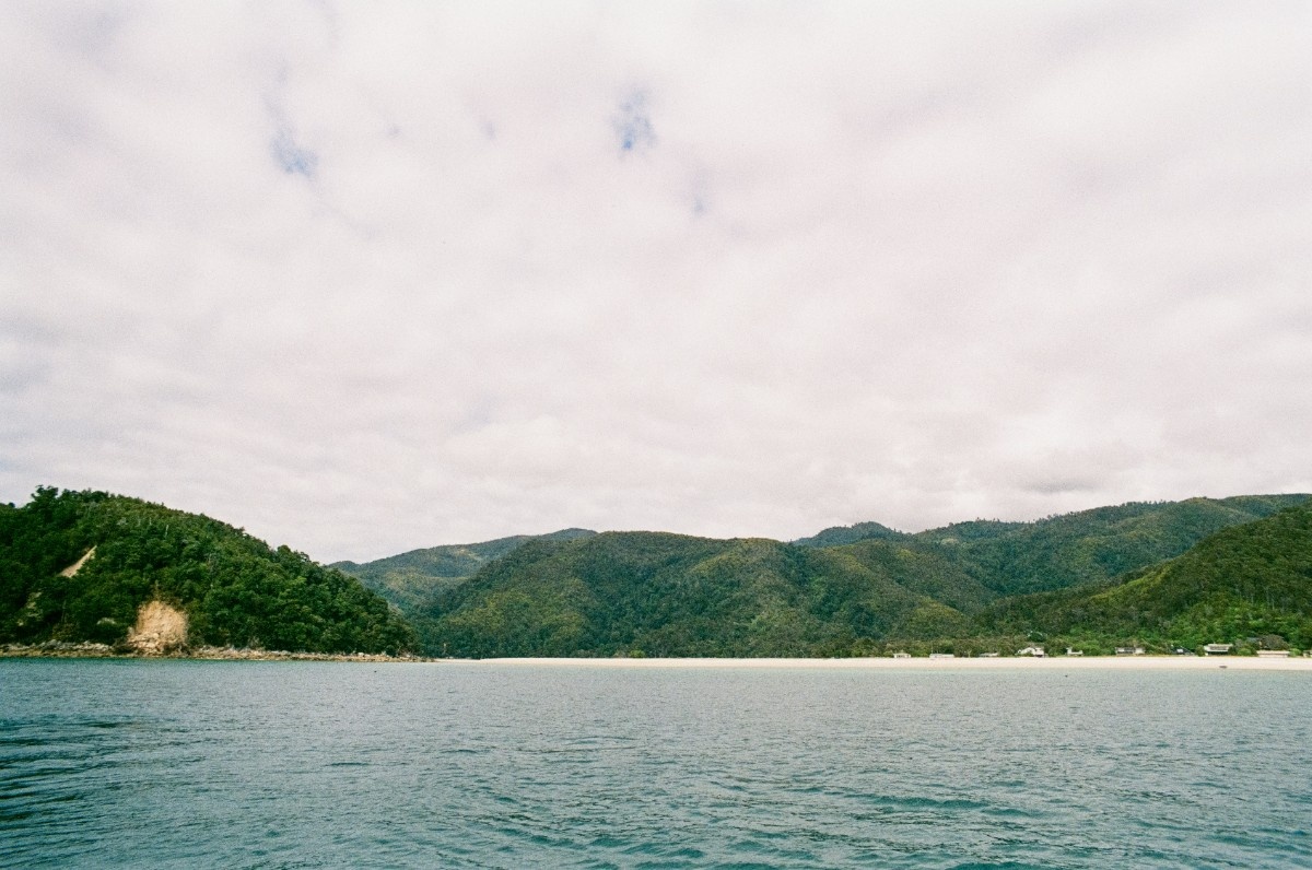 The green landscape of Abel Tasman national park 
