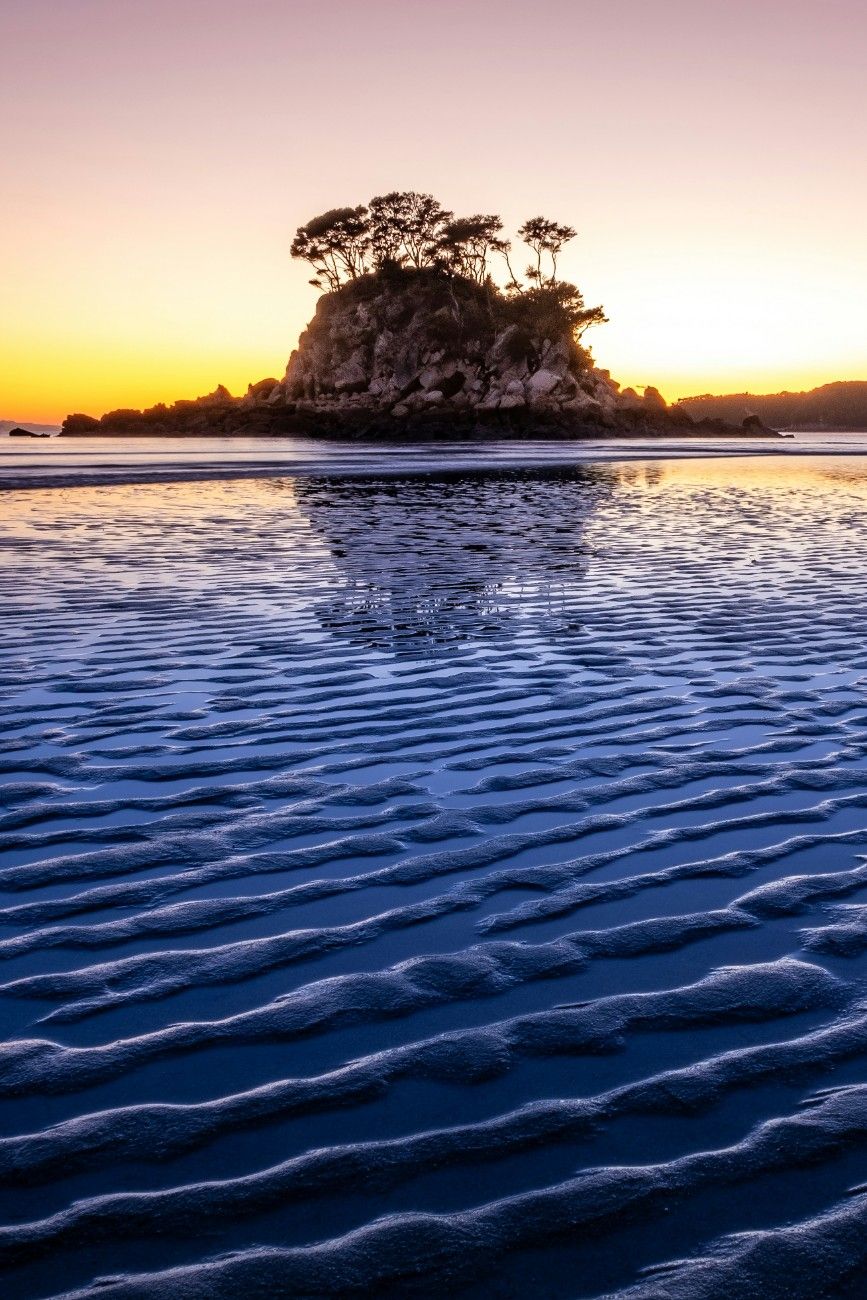 An island in Abel Tasman National Park 