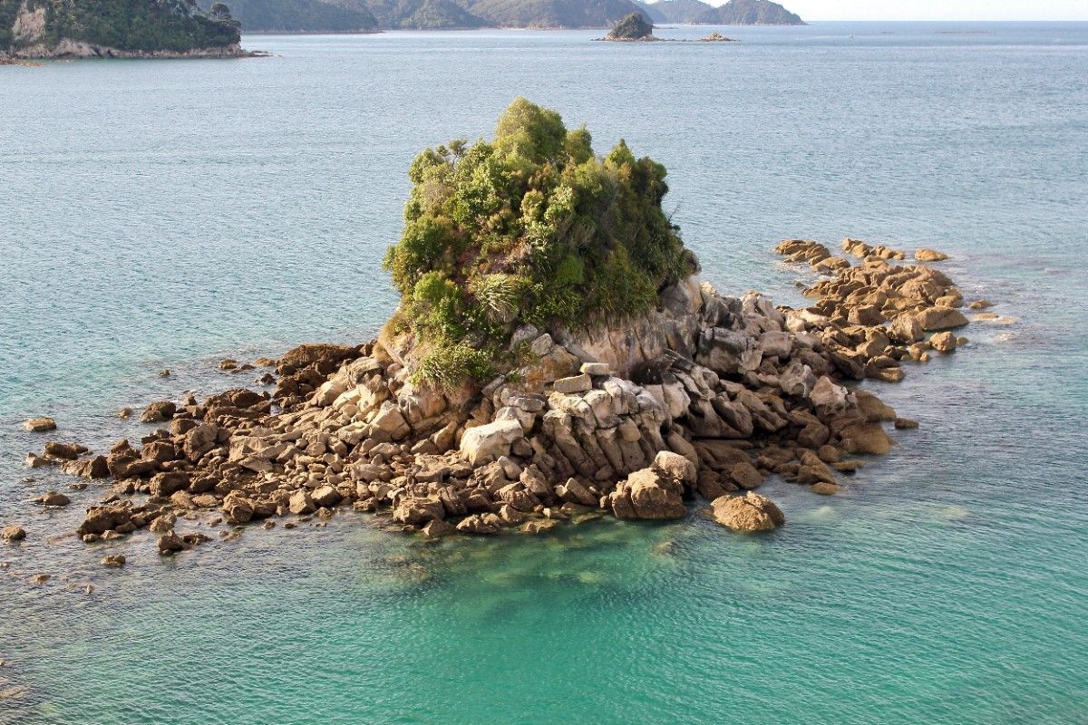 An island in Abel Tasman National Park 