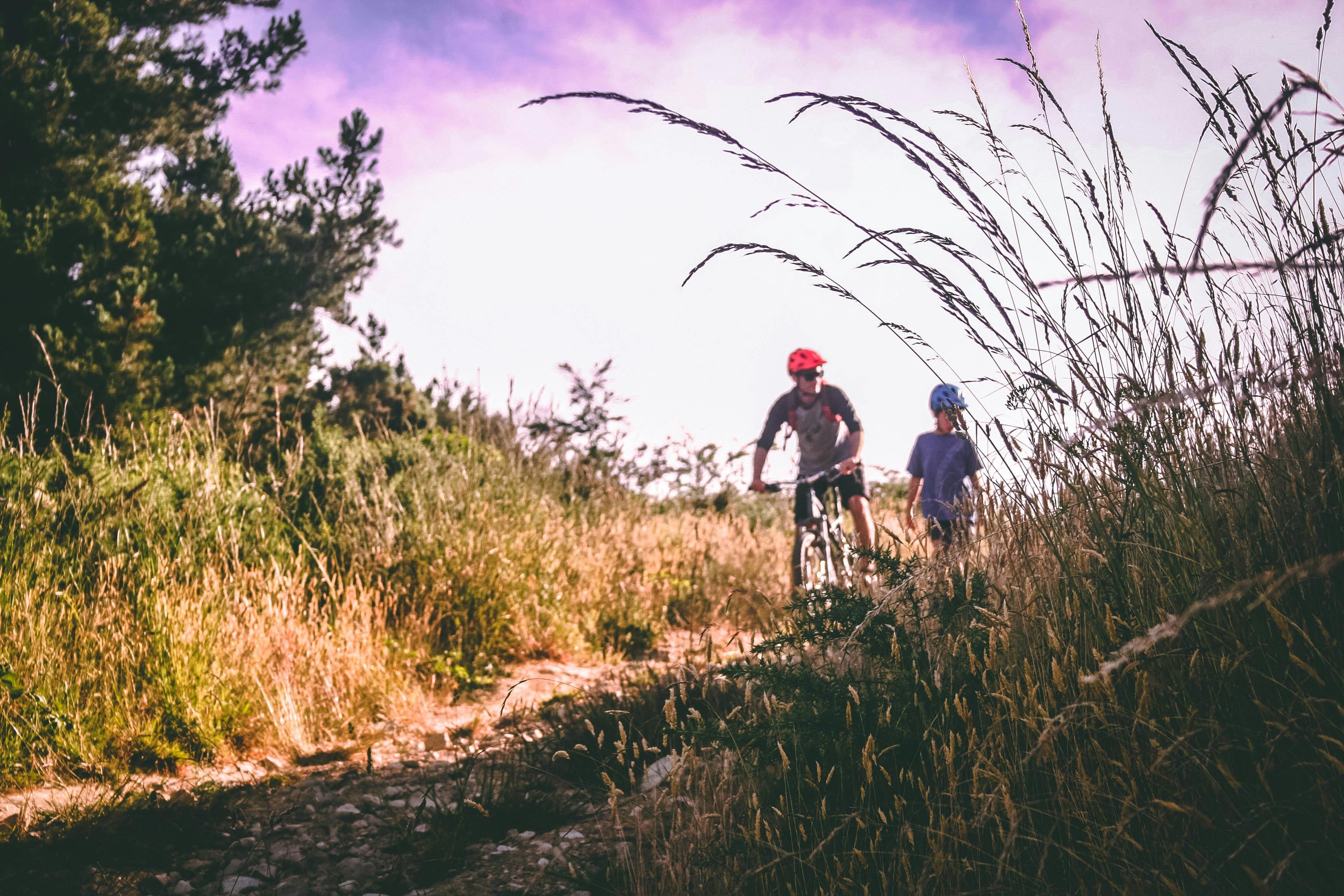 Two people mountain biking through the forest 
