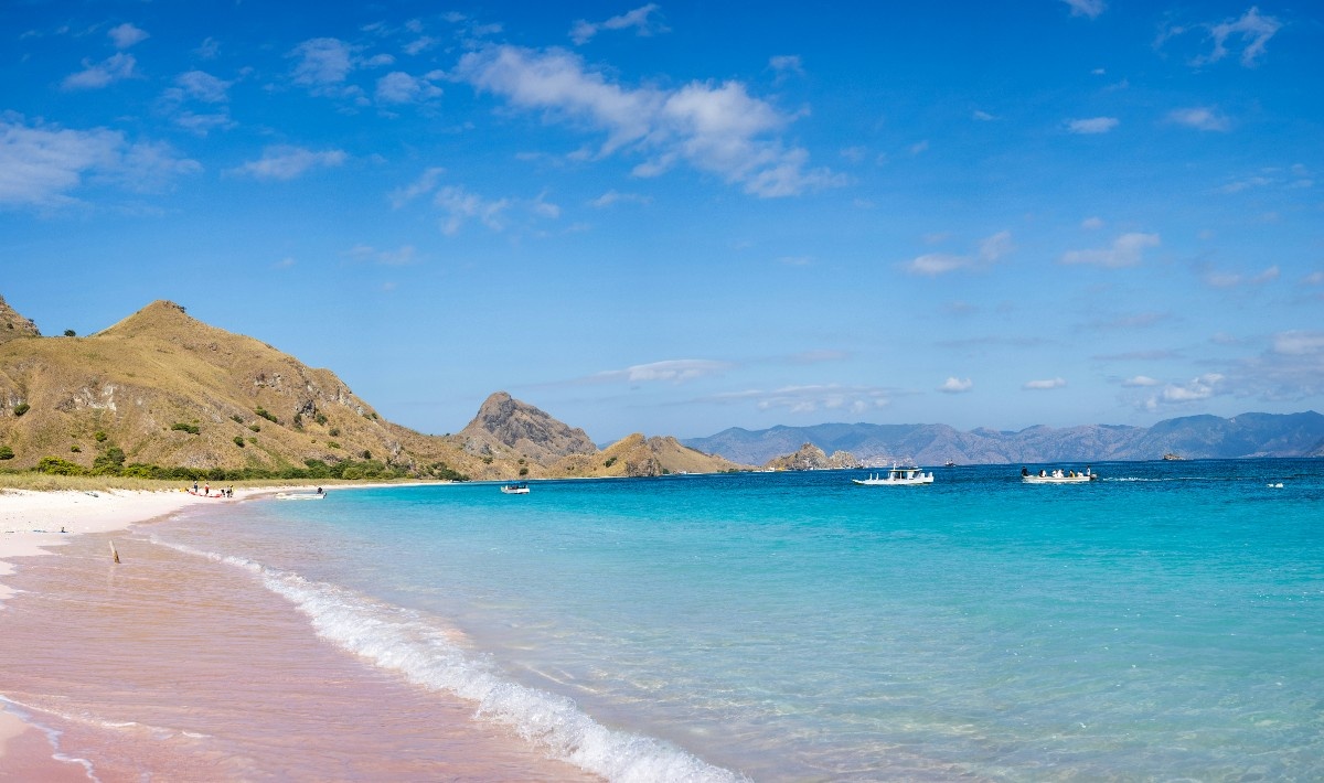The Pink Beach in Komodo National Park 