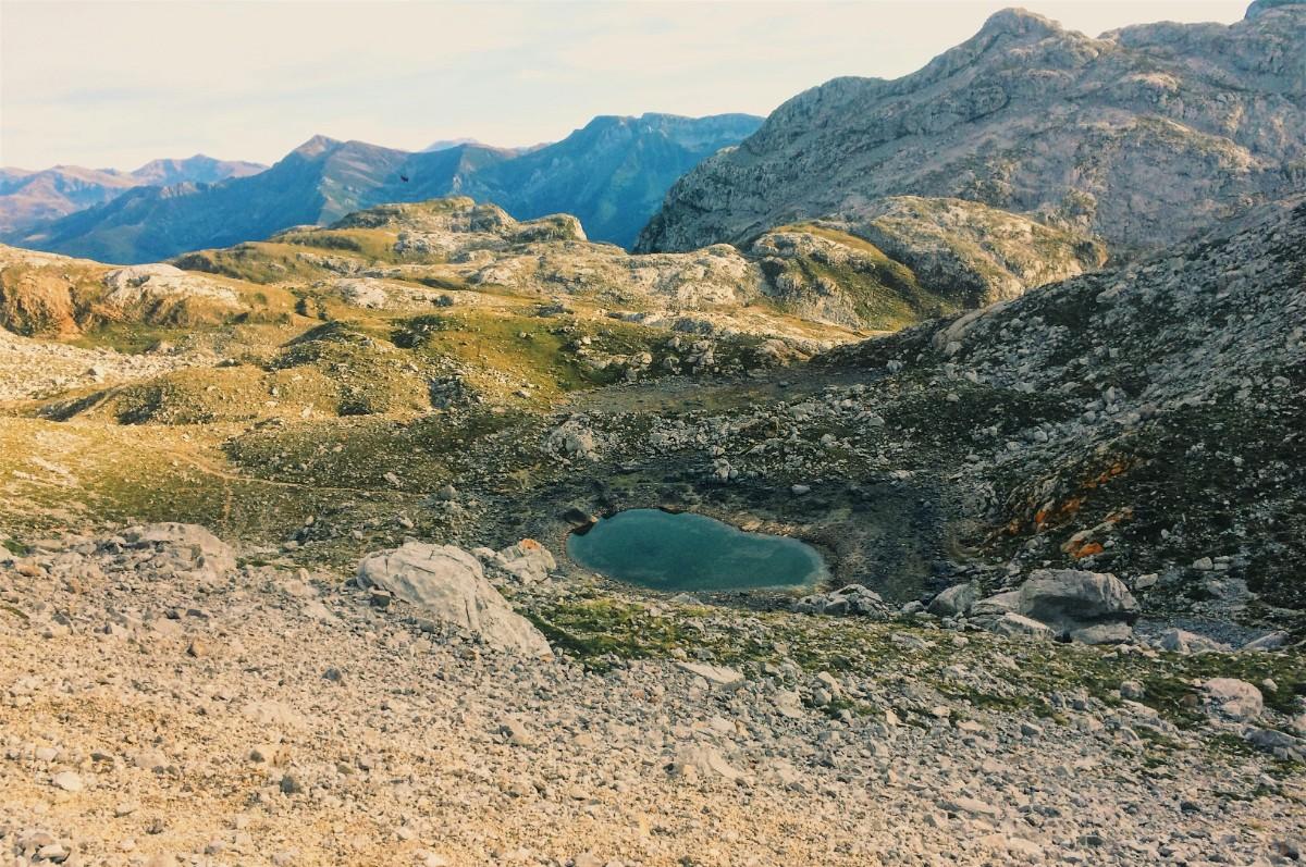 Picos de Europa